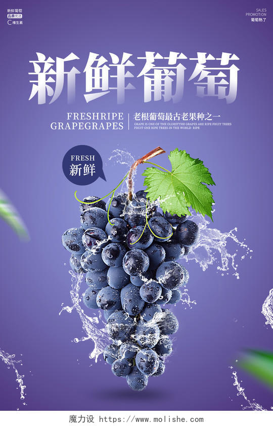 紫色简约风格新鲜葡萄葡萄葡萄庄园海报葡萄海报